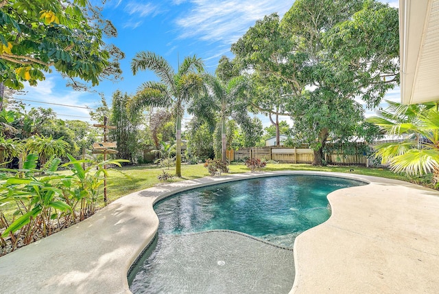 view of pool with a patio and a lawn