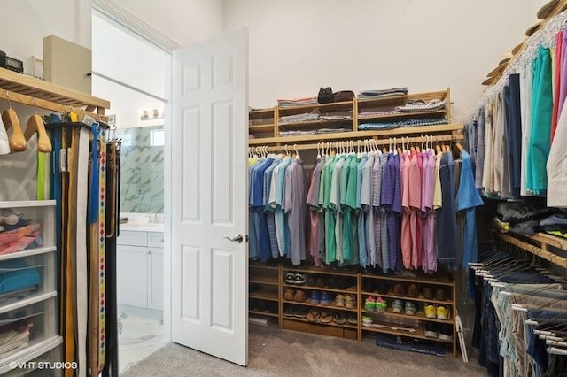 walk in closet with carpet flooring