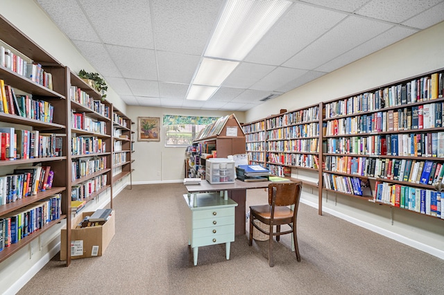 office space featuring a paneled ceiling and carpet floors