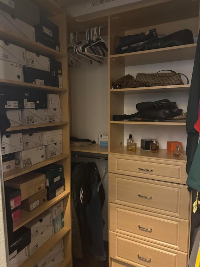 view of spacious closet