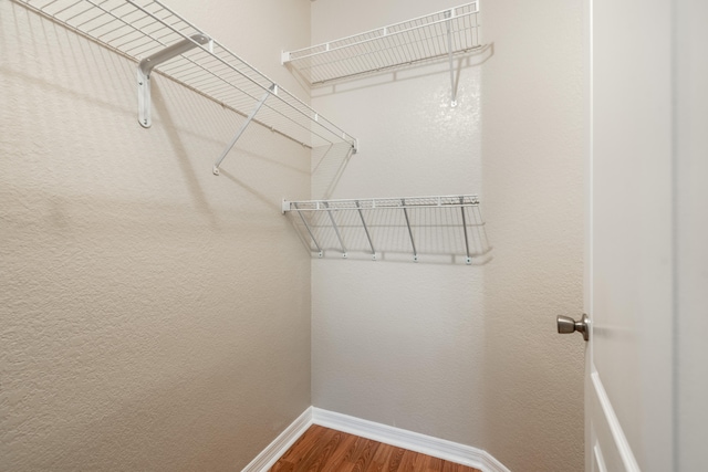 spacious closet with hardwood / wood-style flooring