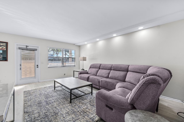 living room featuring hardwood / wood-style flooring