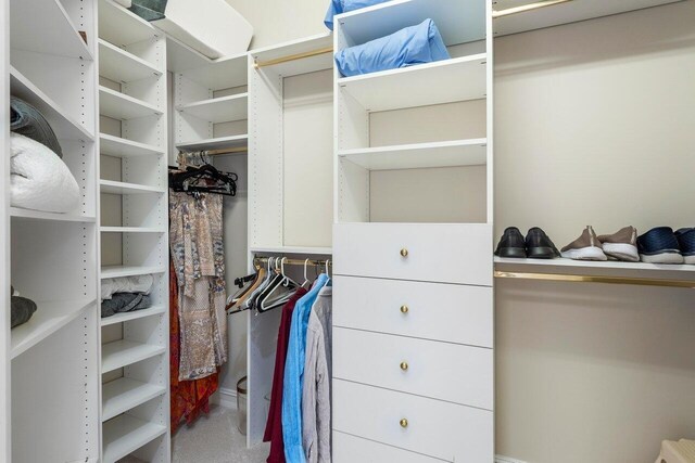 spacious closet with carpet flooring