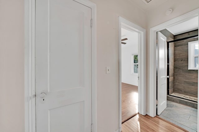 hallway with a wealth of natural light and light hardwood / wood-style floors