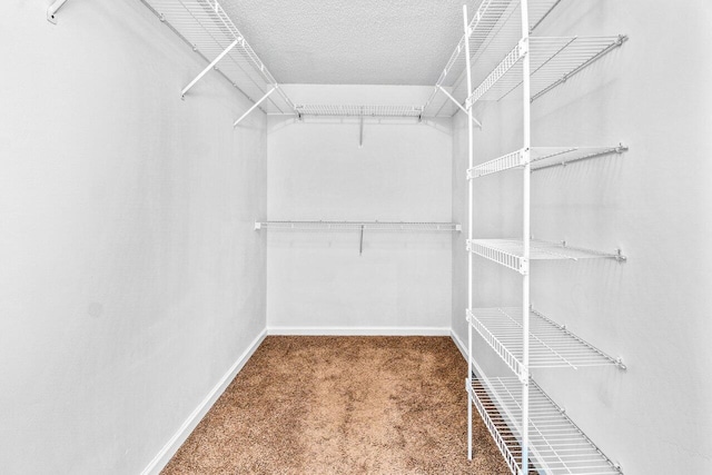 spacious closet with carpet flooring