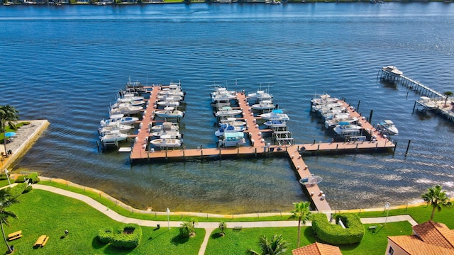 dock area with a water view