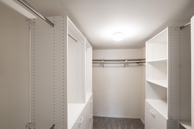 walk in closet with carpet