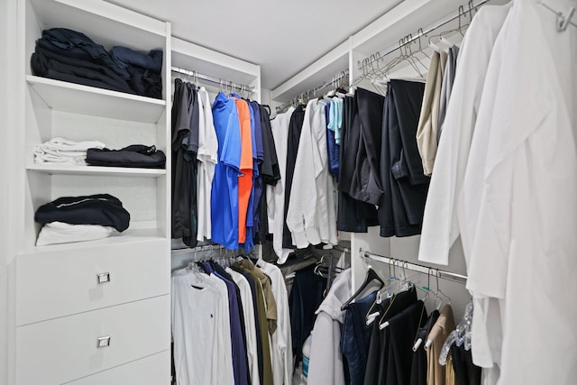 view of walk in closet