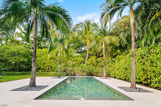 view of swimming pool