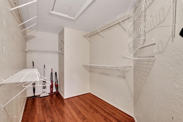 spacious closet with hardwood / wood-style floors