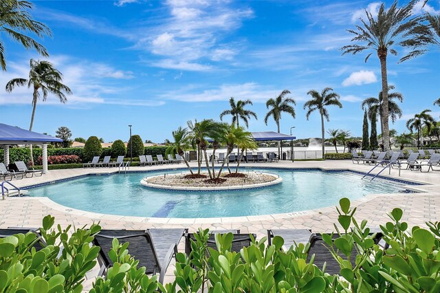 view of swimming pool with a patio