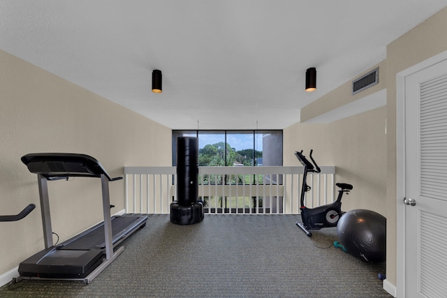 workout room with carpet flooring and floor to ceiling windows