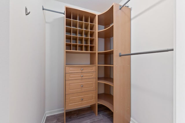 spacious closet featuring dark hardwood / wood-style flooring