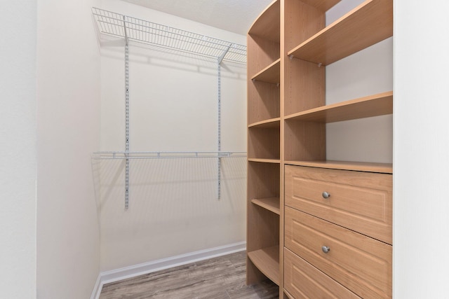 walk in closet featuring hardwood / wood-style floors