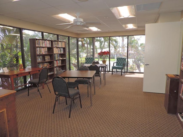 office featuring a paneled ceiling, carpet, and ceiling fan