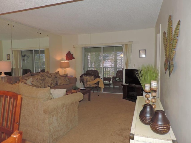 living room with carpet flooring and a textured ceiling