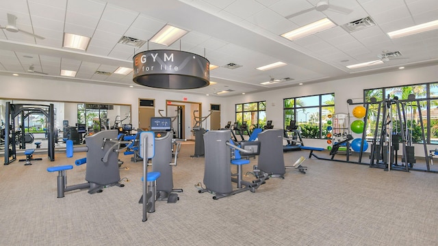 exercise room featuring a paneled ceiling, light colored carpet, and ceiling fan