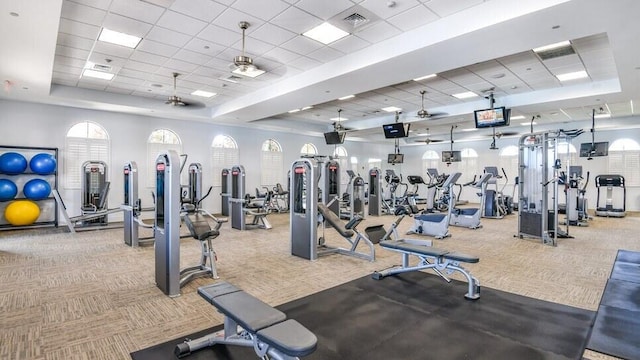 exercise room with a raised ceiling, ceiling fan, carpet floors, and a paneled ceiling