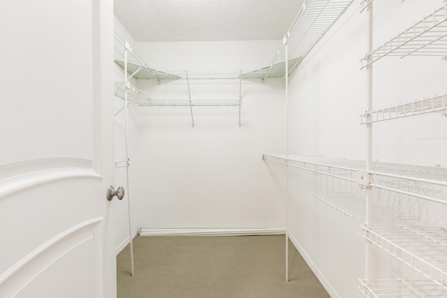 spacious closet with carpet flooring