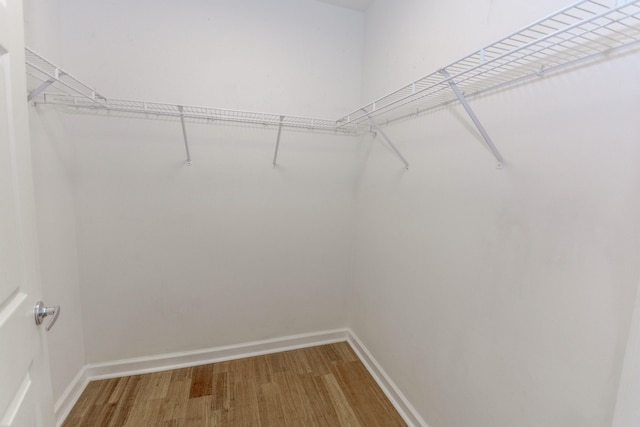 spacious closet featuring hardwood / wood-style flooring