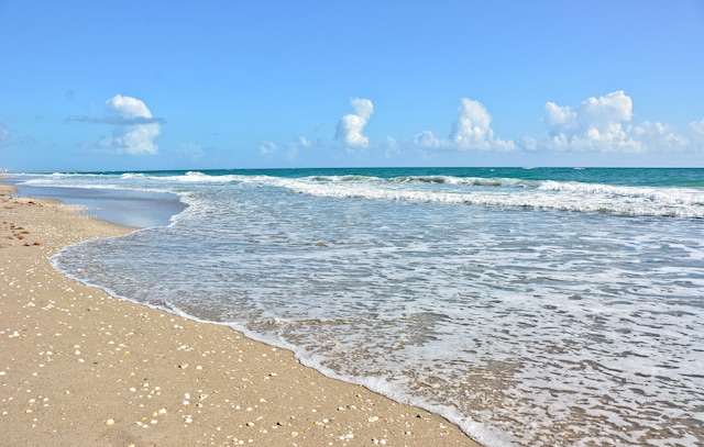 view of water feature with a beach view