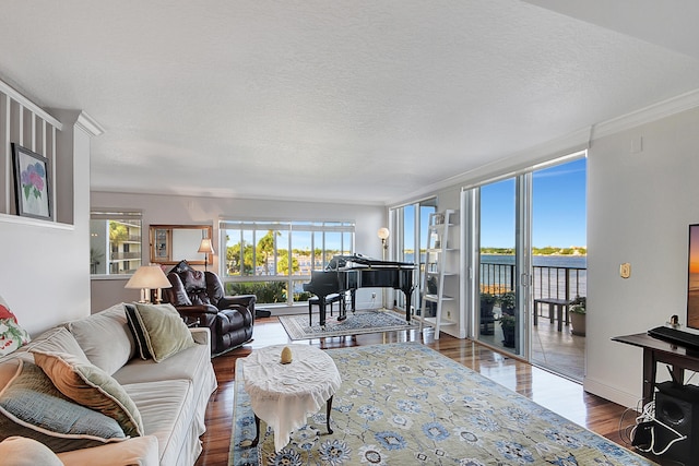 living room with a water view, crown molding, a textured ceiling, and hardwood / wood-style floors