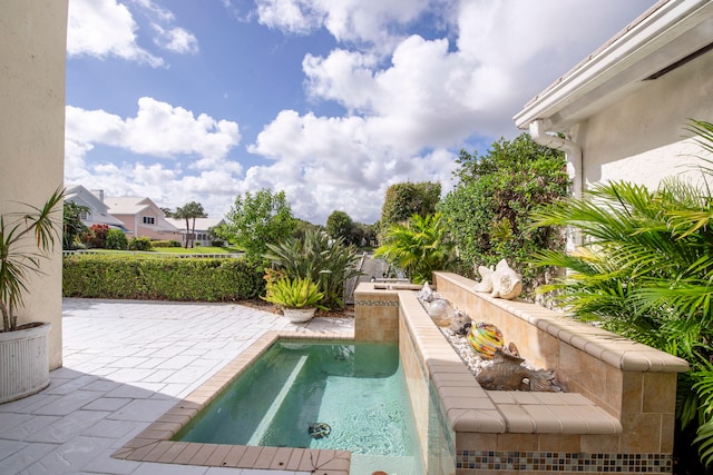 view of swimming pool with a patio area