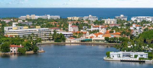 birds eye view of property with a water view