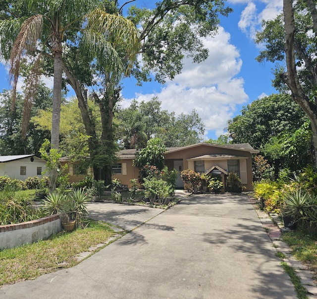 275 SE 16th Ave, Okeechobee, FL 34974 - view of front of house with concrete driveway and stucco siding