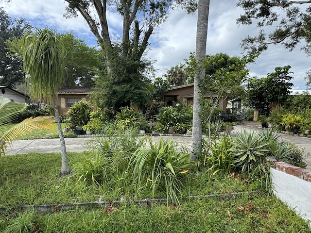 275 SE 16th Ave, Okeechobee, FL 34974 - view of community