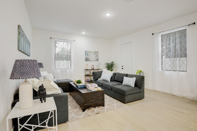 living room with wood-type flooring