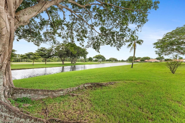 view of yard featuring a water view