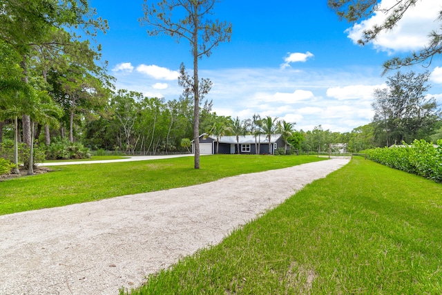 view of property's community featuring a lawn