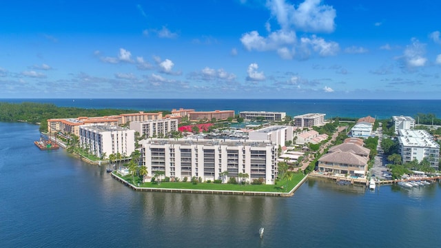 bird's eye view with a water view