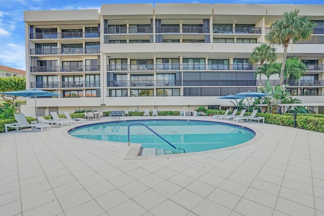 view of pool featuring a patio area