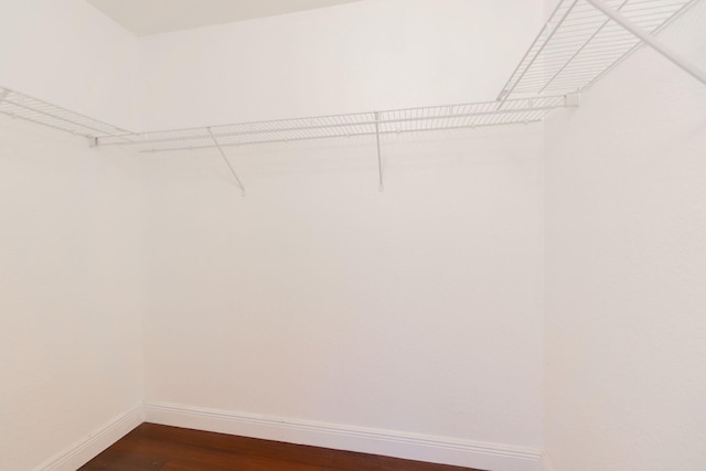 spacious closet with dark wood-style flooring