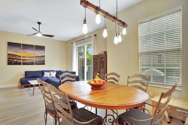 dining area with light hardwood / wood-style floors and ceiling fan