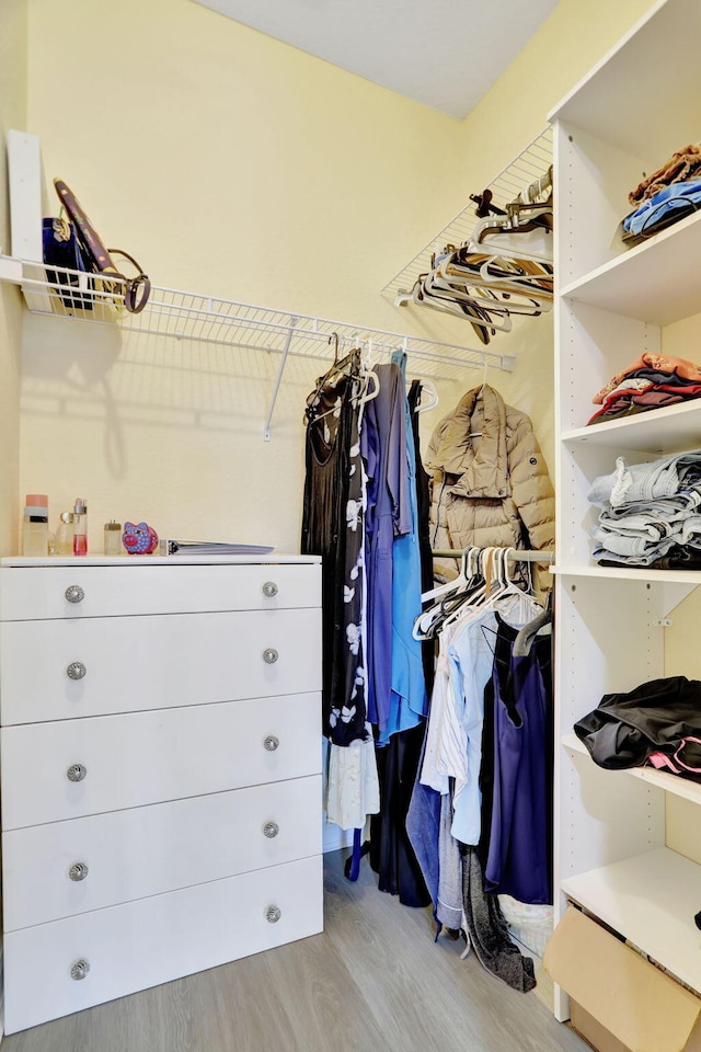 walk in closet with light wood-type flooring