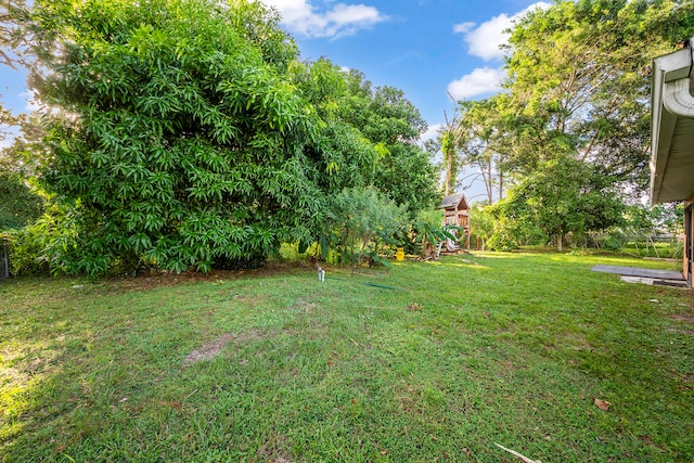 view of yard with a playground