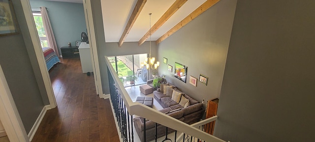 hall featuring beamed ceiling, dark hardwood / wood-style flooring, a chandelier, and a wealth of natural light