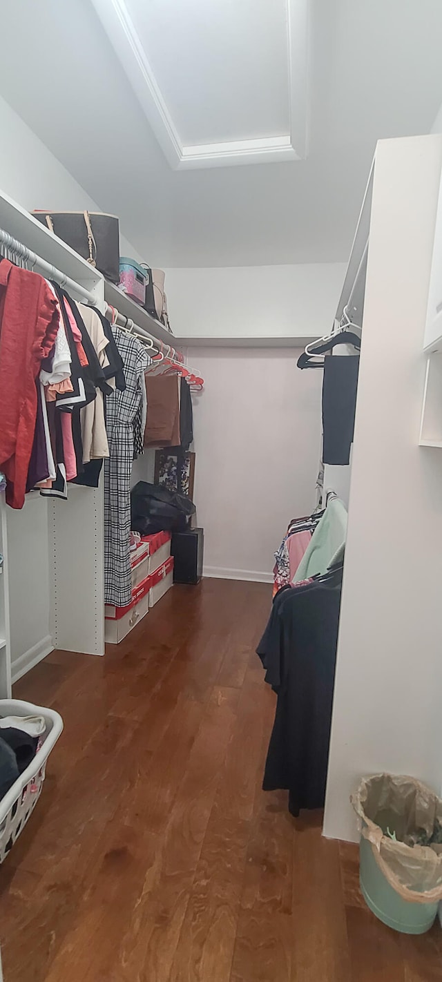 spacious closet featuring dark hardwood / wood-style floors