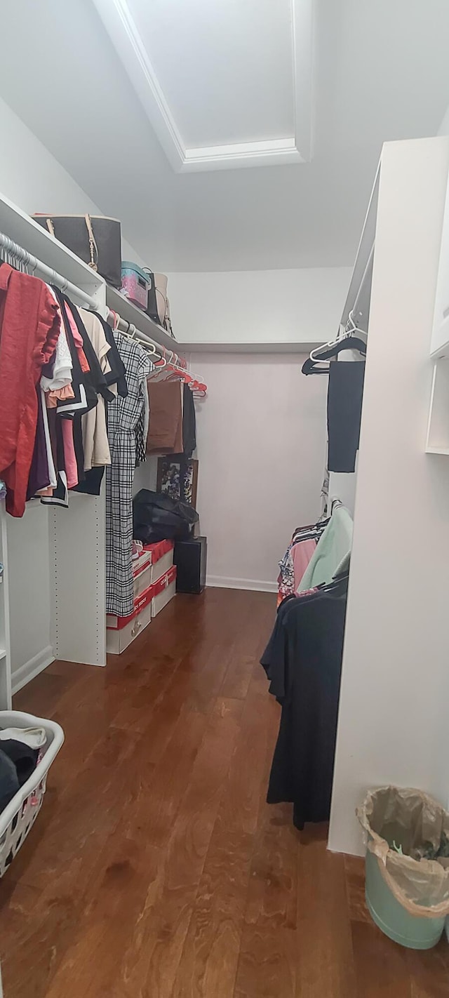 spacious closet featuring a raised ceiling and wood finished floors