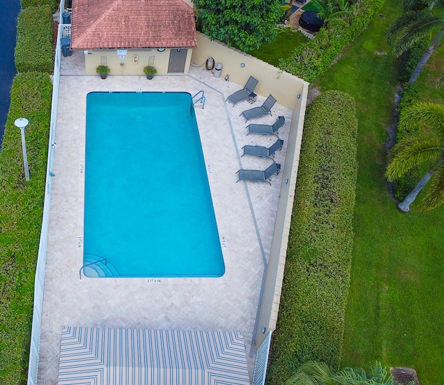 view of swimming pool featuring a patio area and a yard