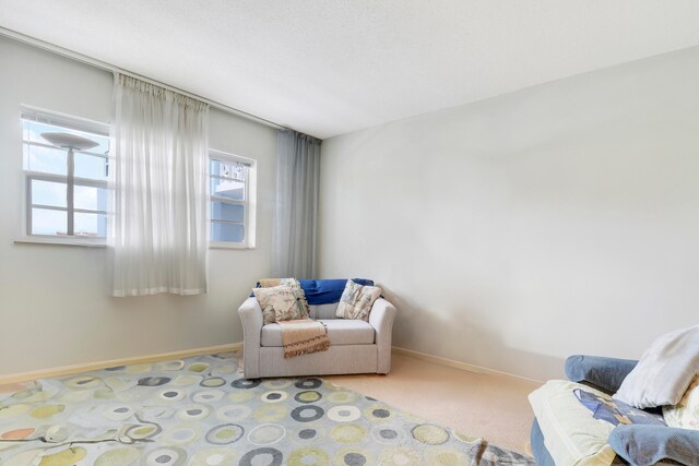 sitting room featuring light carpet