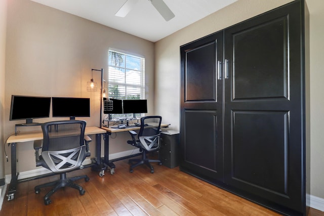 office area featuring hardwood / wood-style flooring and ceiling fan