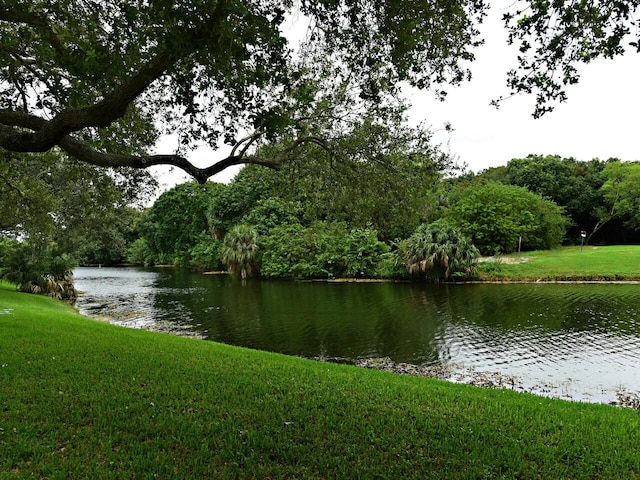 1035 Newport H, Deerfield Beach, FL 33442 - water view featuring a heavily wooded area