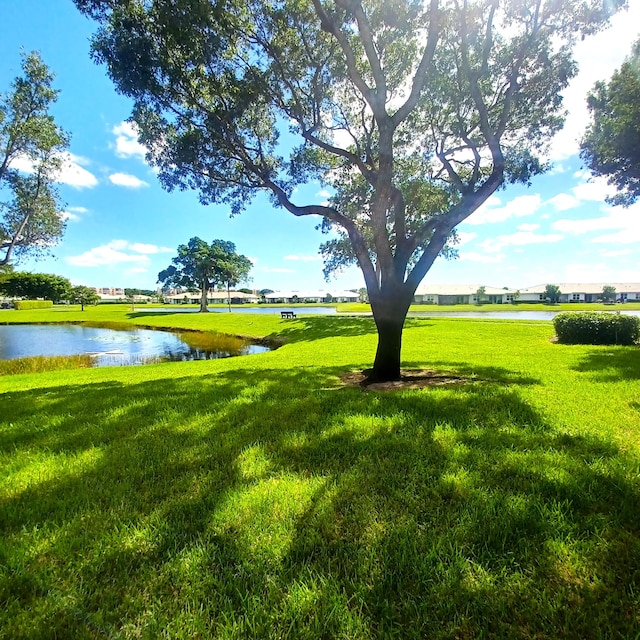 view of yard with a water view