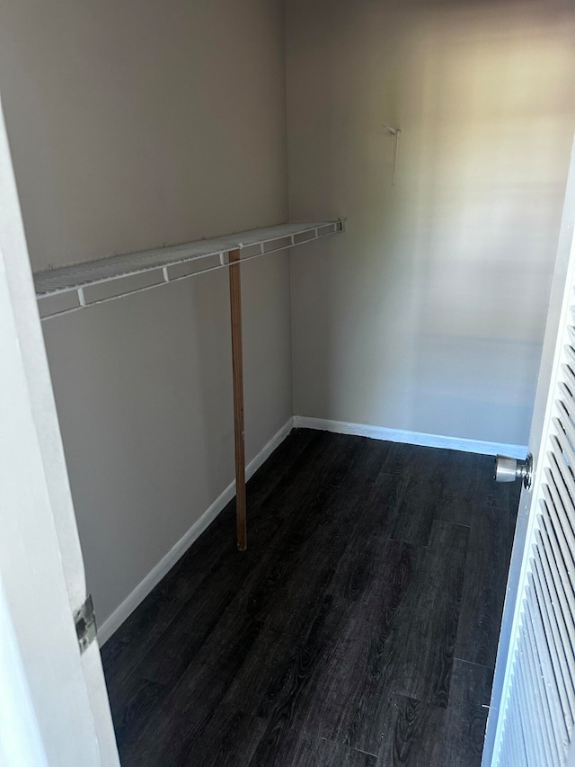 spacious closet featuring dark hardwood / wood-style flooring