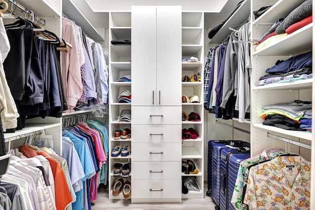 spacious closet with light hardwood / wood-style floors