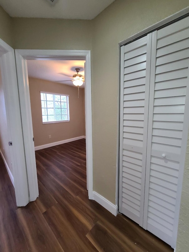 hallway with dark hardwood / wood-style floors